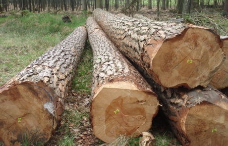Hennekens Hout Holz Timber