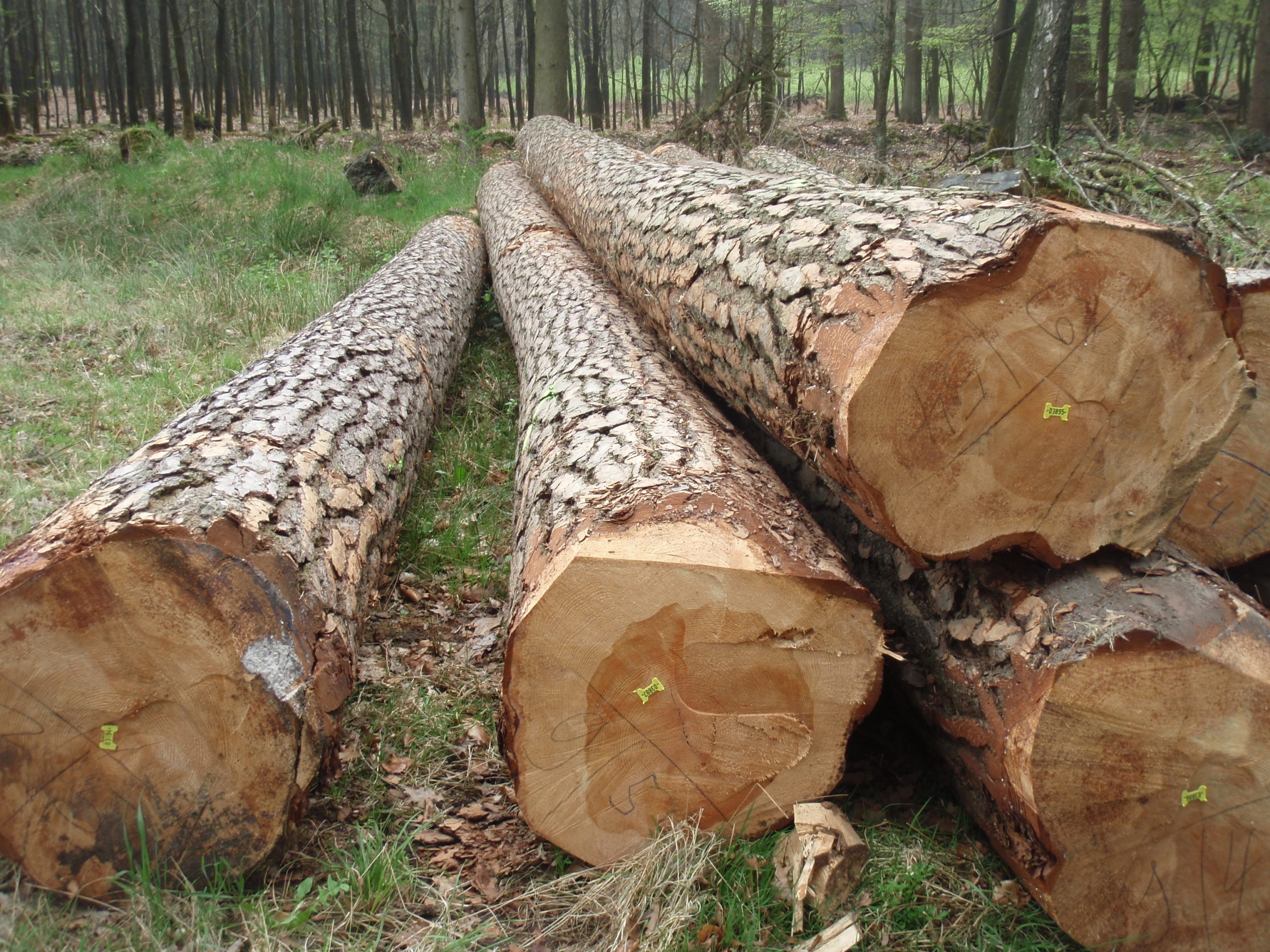 Hennekens Hout Holz Timber