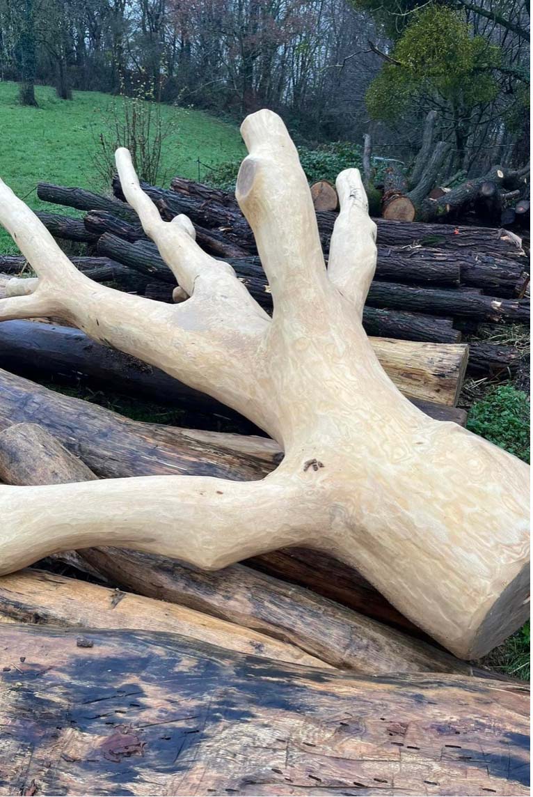 Klimboom natuurspeeltuin Hennekens Hout Timber